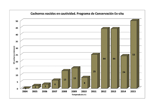 Cachorros nacidos en cautividad. 2005-2015